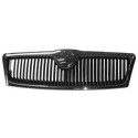 GRIGLIA C/CORNICE CROMATURA SKODA OCTAVIA DAL 2004 09/08