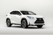 LEXUS NX DAL 01/2014 IN POI