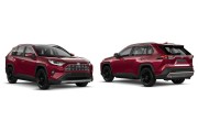 TOYOTA RAV 4 DAL 01/2019 IN POI