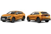 AUDI Q8 DAL 01/2018 IN POI