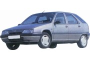 CITROEN ZX DAL 06/1991 IN POI