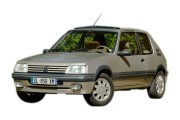 PEUGEOT 205 DAL 09/1990 IN POI