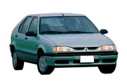 RENAULT 19 DAL 06/1992 IN POI