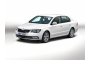 SKODA SUPERB DAL 01/2013 IN POI